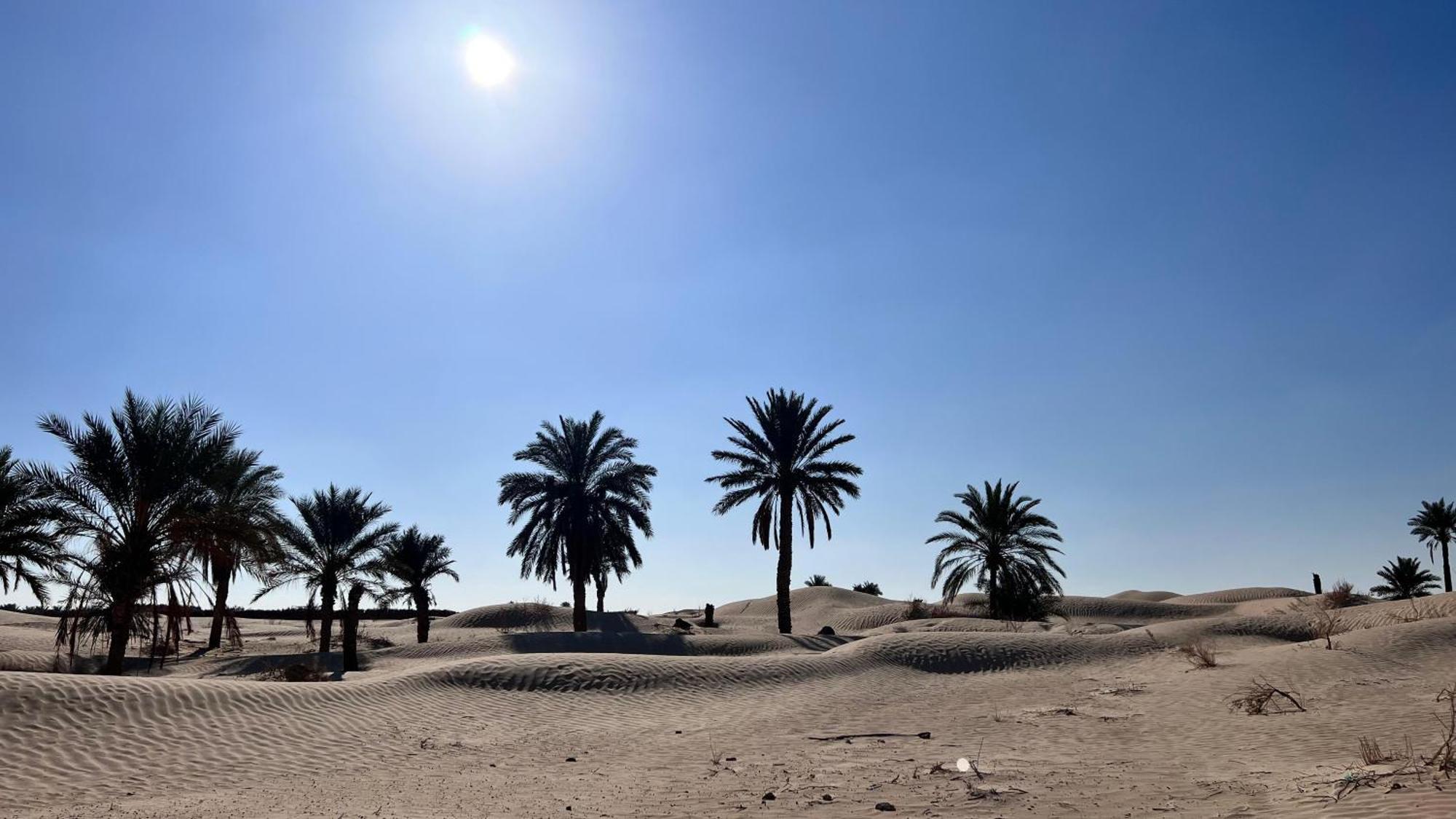 Luxury Camp Dunes Insolites Sabria Esterno foto
