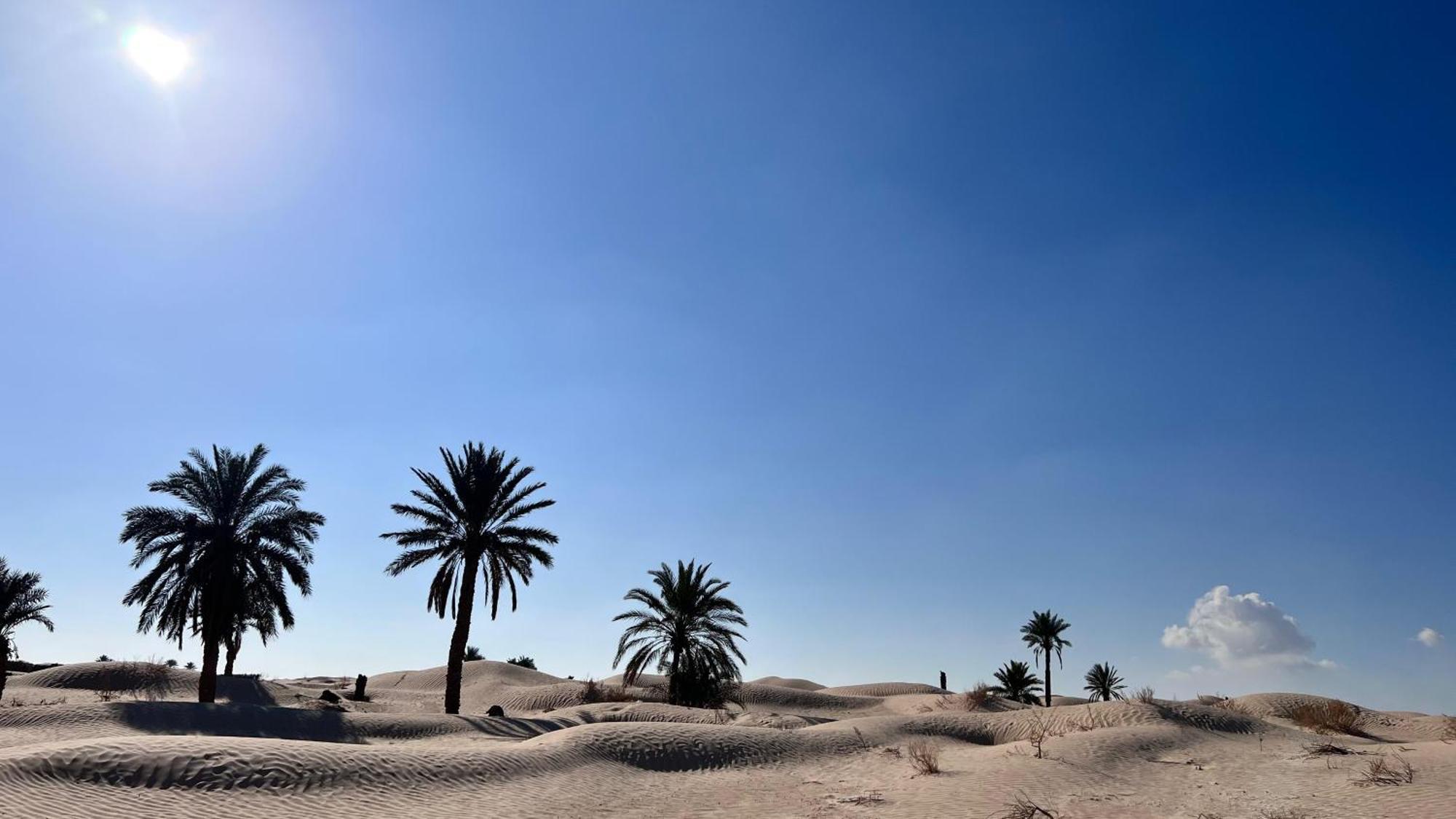 Luxury Camp Dunes Insolites Sabria Esterno foto