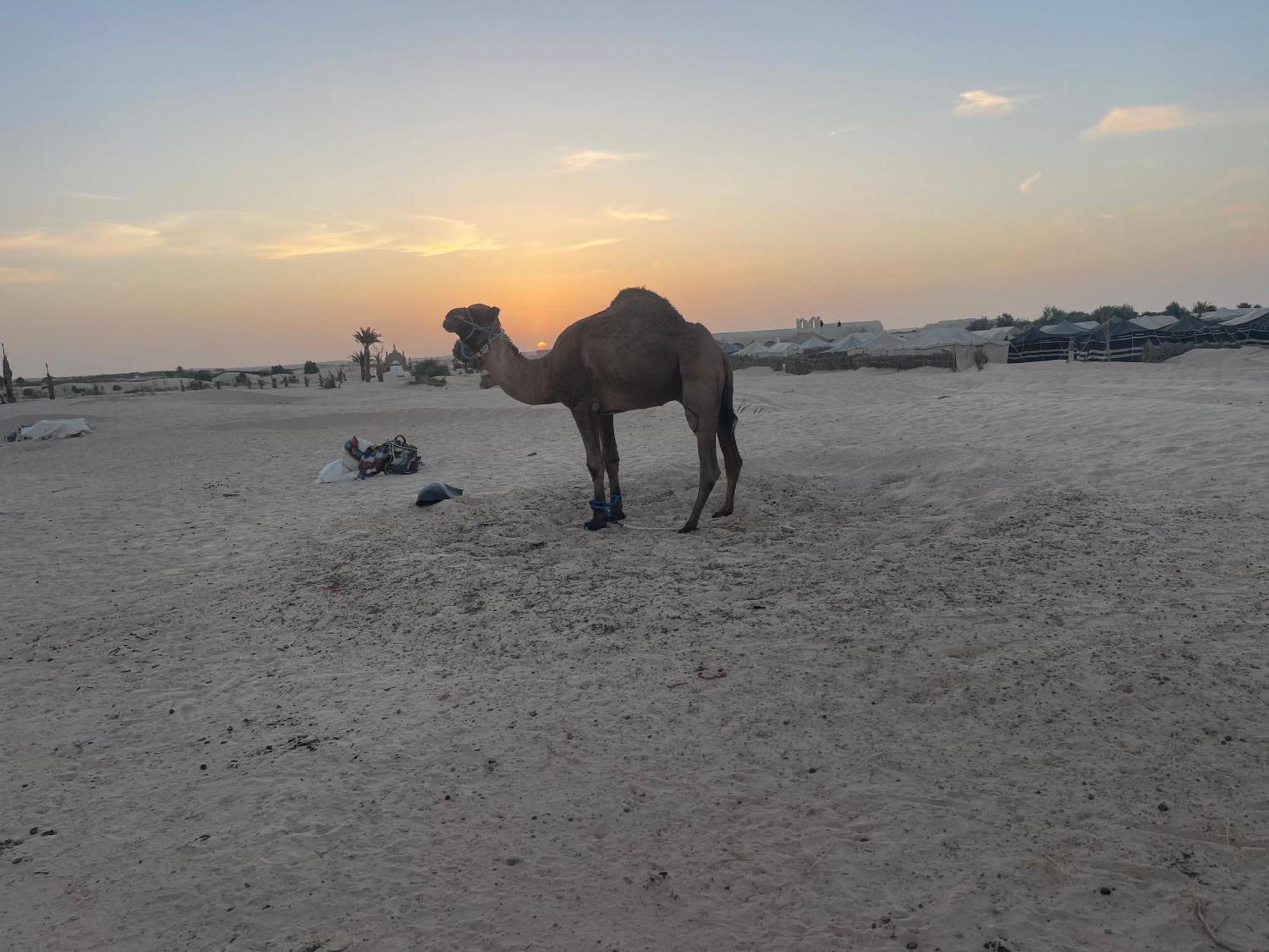 Luxury Camp Dunes Insolites Sabria Esterno foto